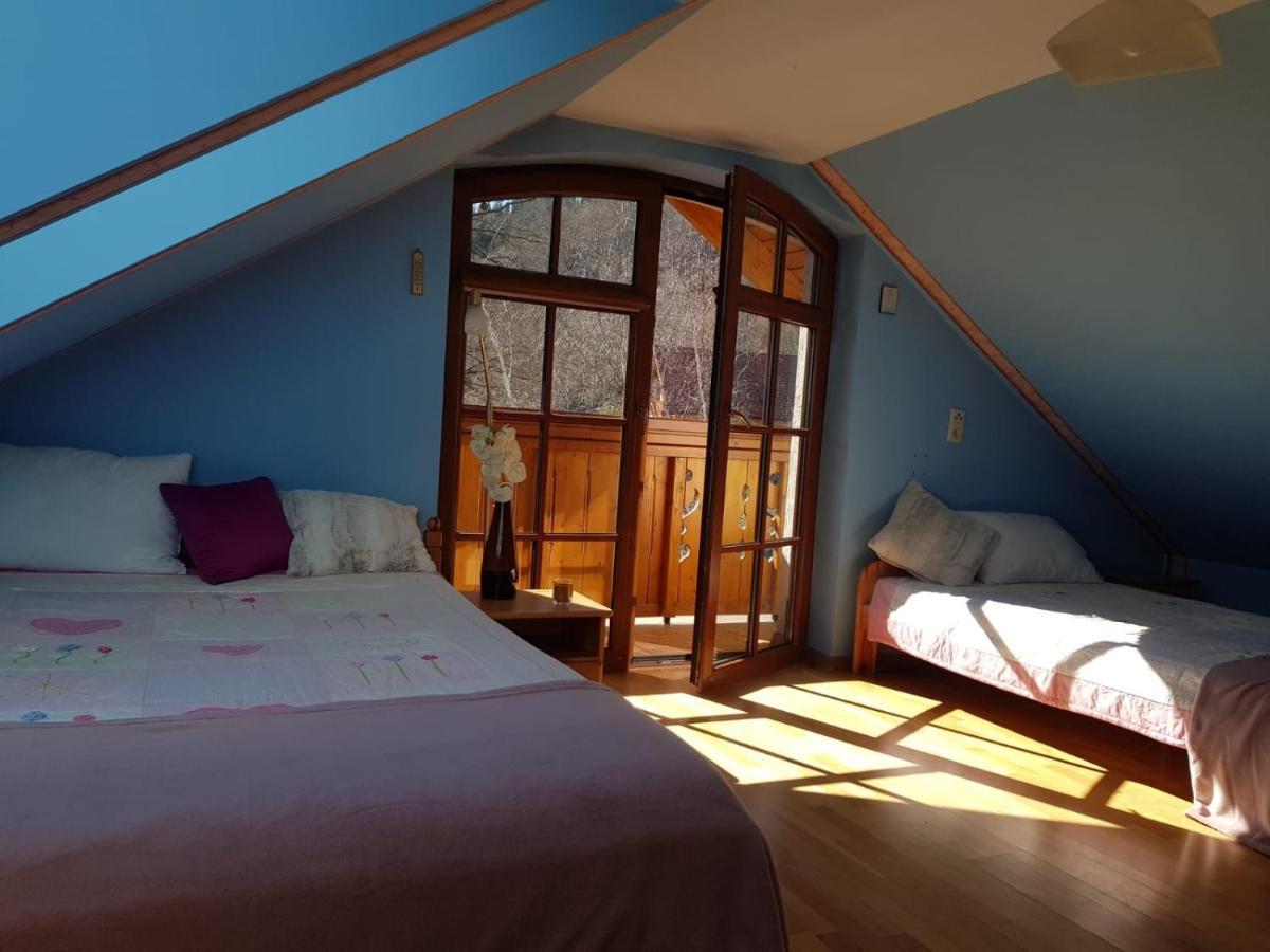Apartament Intol Z Widokiem Na Sniezke كارباش المظهر الخارجي الصورة